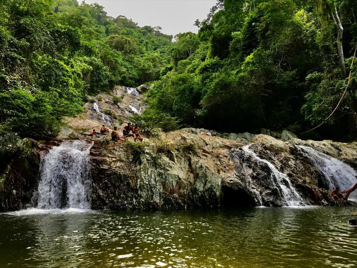 Donama River Palomino Exterior foto