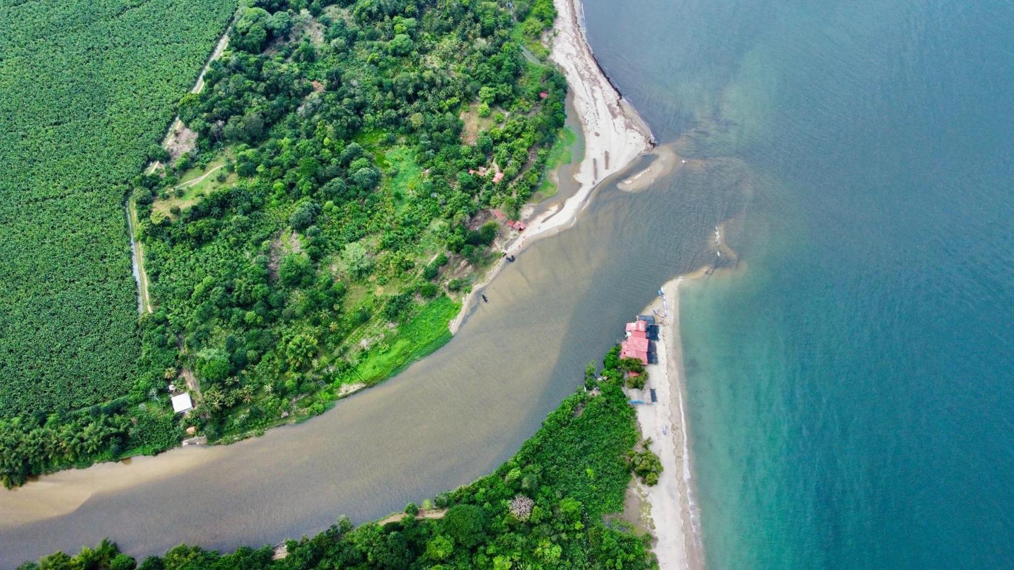 Donama River Palomino Exterior foto